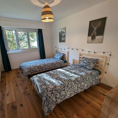 Appartement Spacieux Au Centre De La Gruyere Broc Екстериор снимка