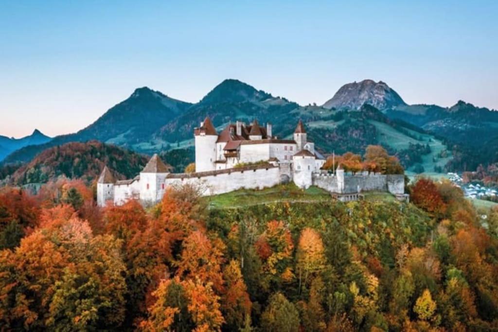 Appartement Spacieux Au Centre De La Gruyere Broc Екстериор снимка