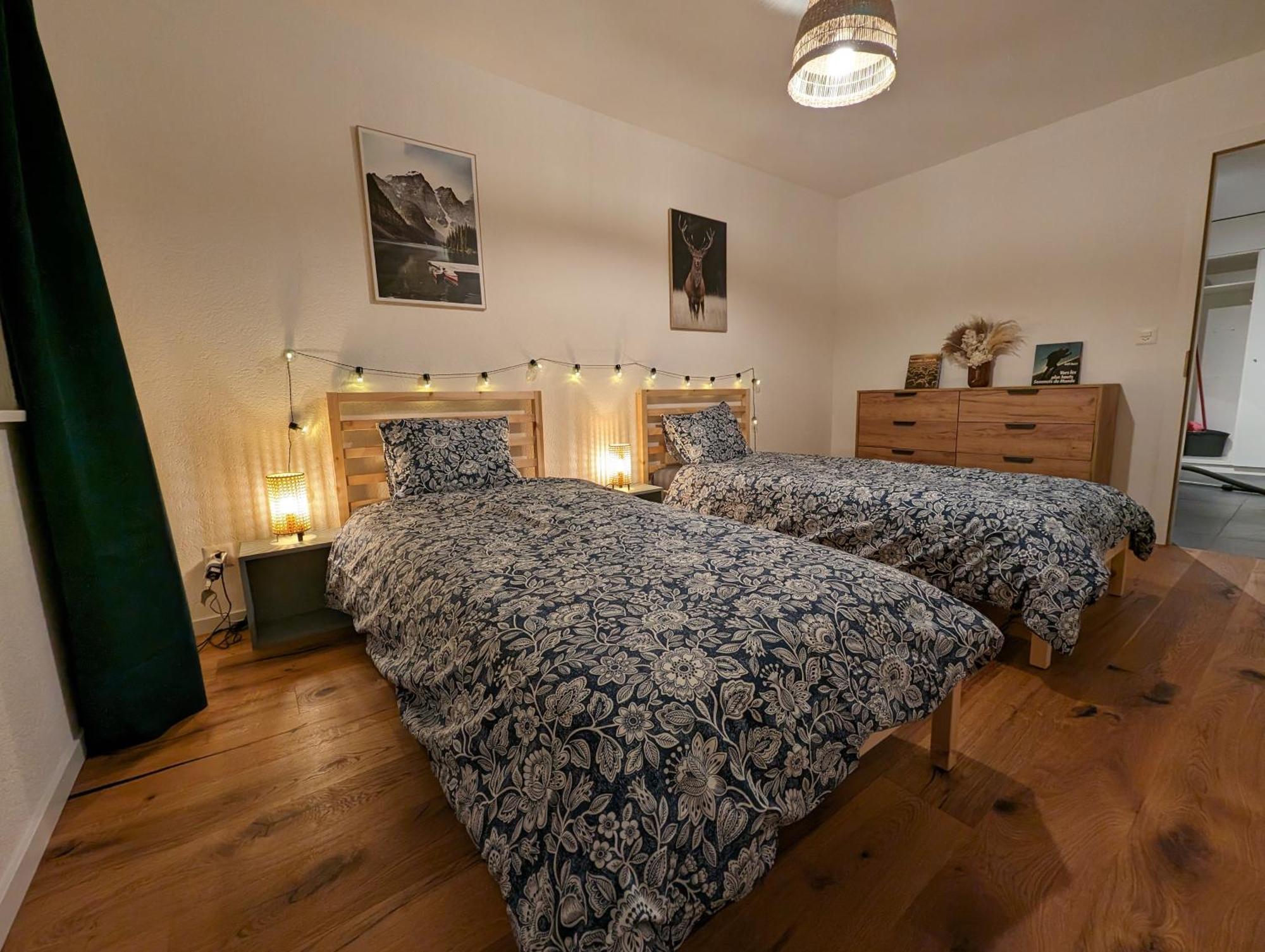 Appartement Spacieux Au Centre De La Gruyere Broc Екстериор снимка
